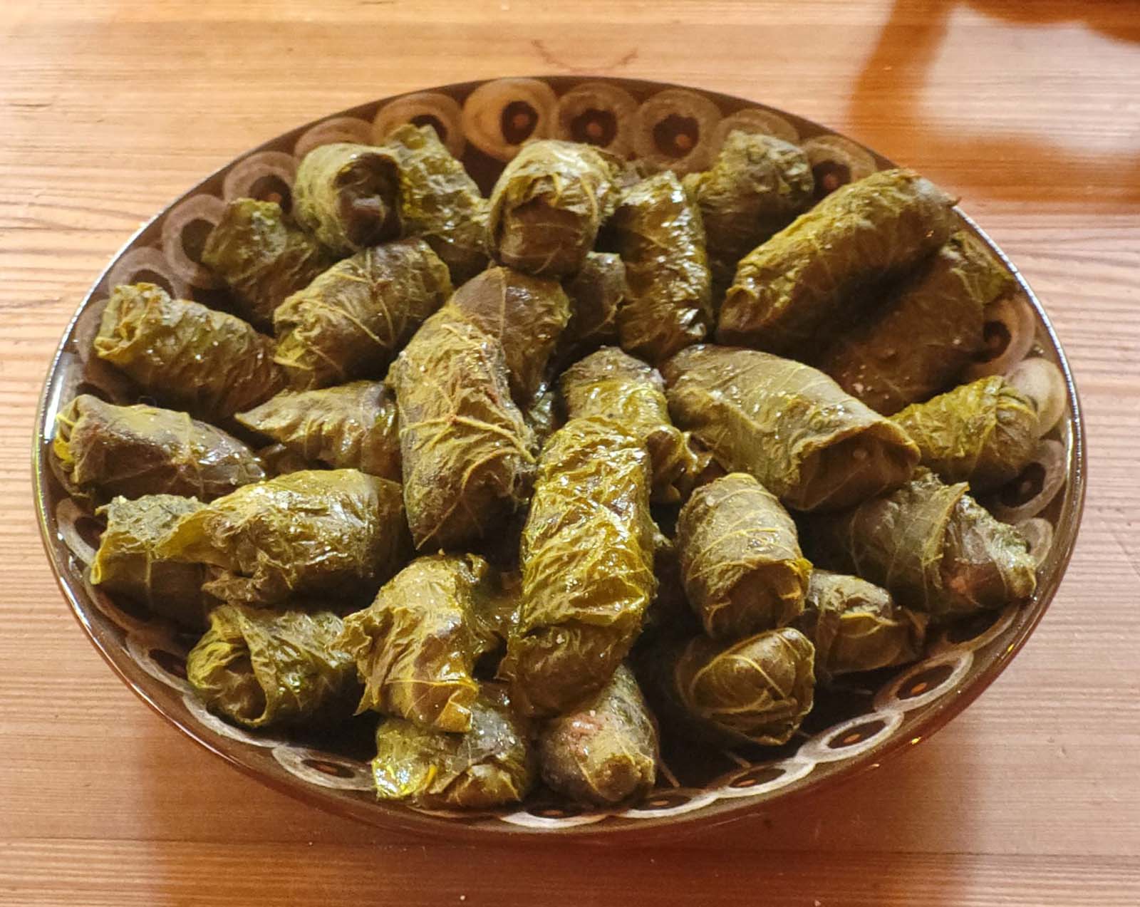 Sollinger Waldküche, 2025